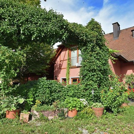 Countryside Apartment With Garden Schallstadt Buitenkant foto