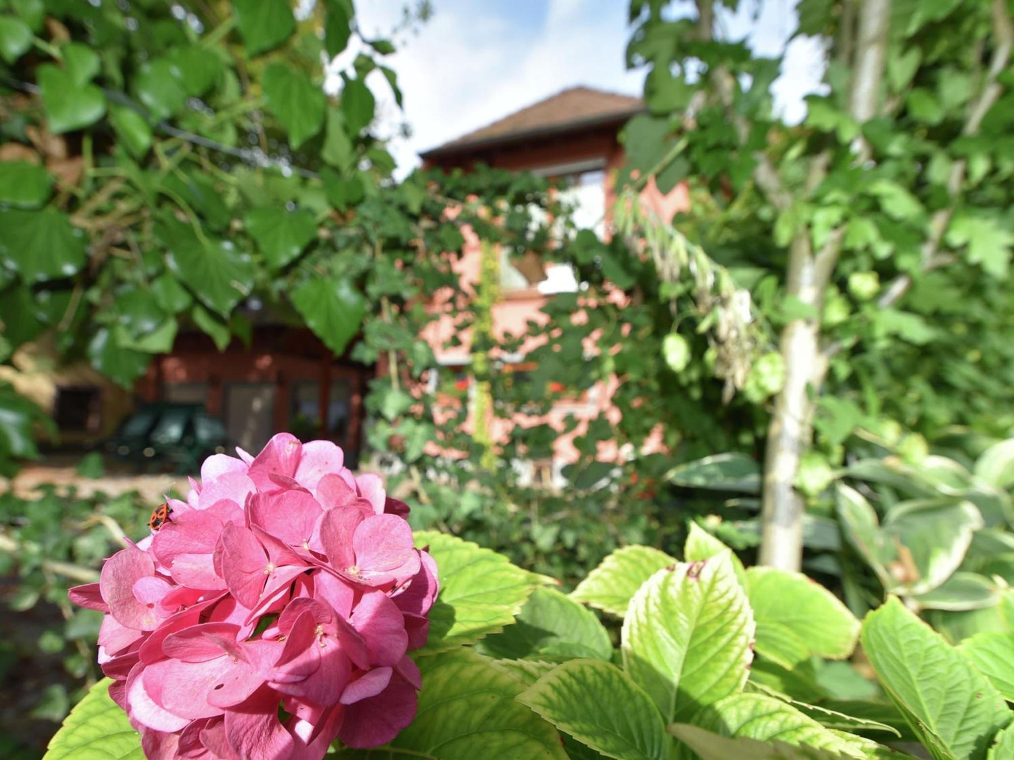 Countryside Apartment With Garden Schallstadt Buitenkant foto