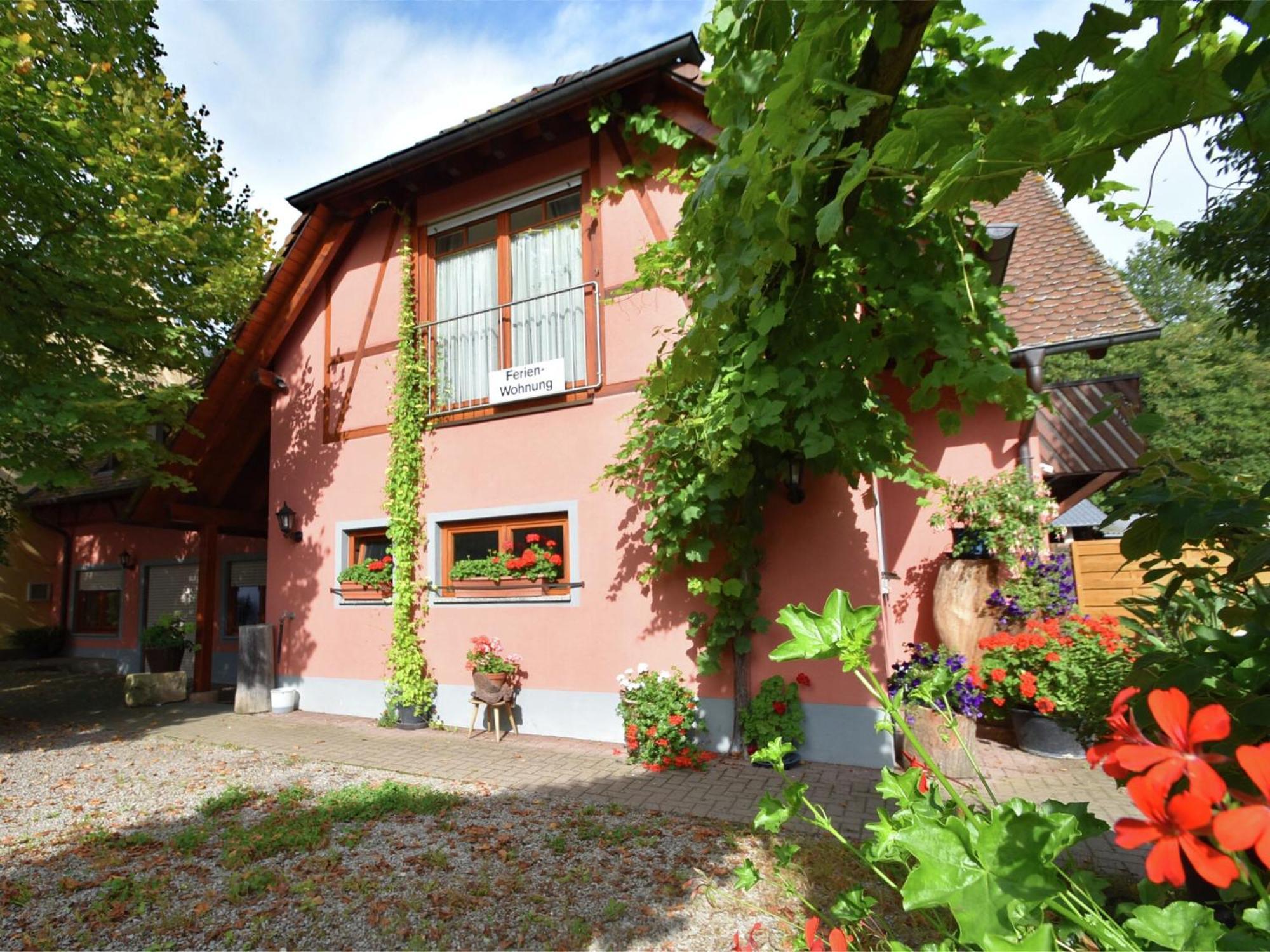 Countryside Apartment With Garden Schallstadt Buitenkant foto
