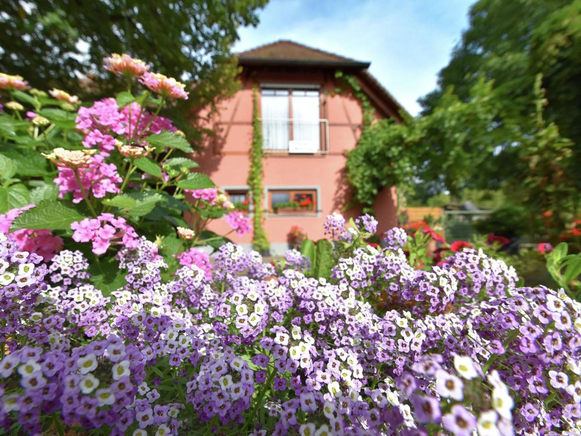 Countryside Apartment With Garden Schallstadt Buitenkant foto