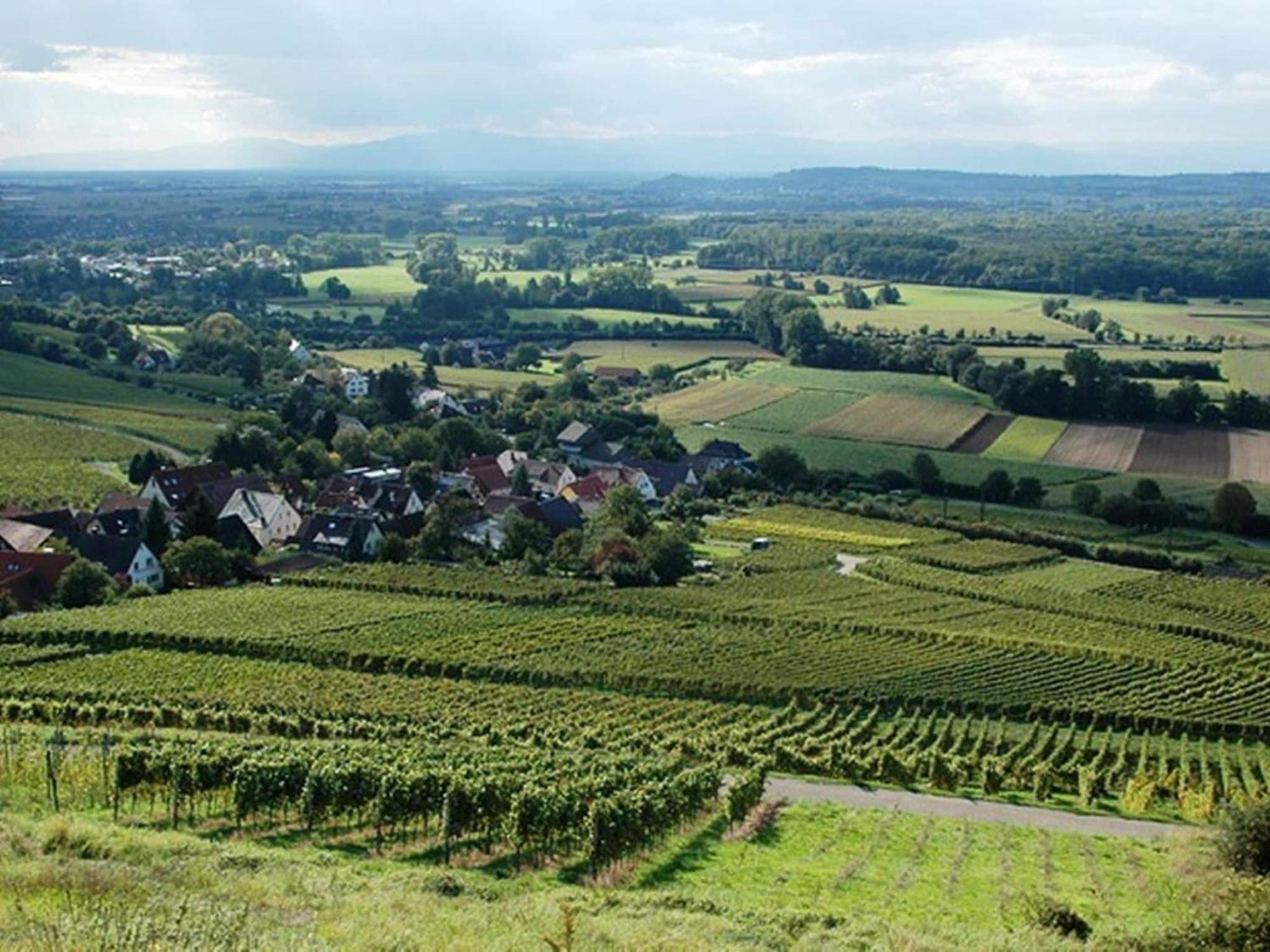 Countryside Apartment With Garden Schallstadt Buitenkant foto
