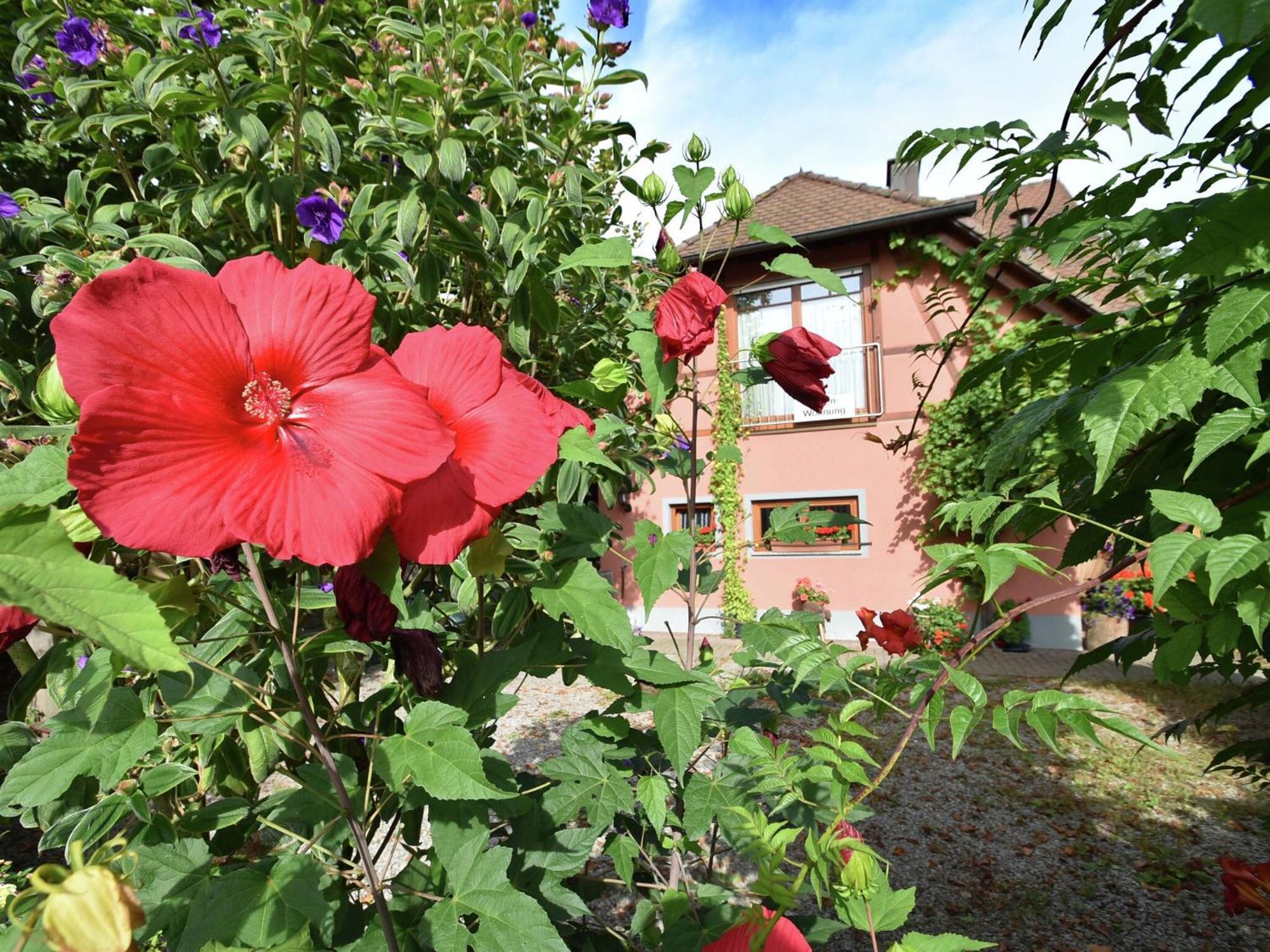 Countryside Apartment With Garden Schallstadt Buitenkant foto