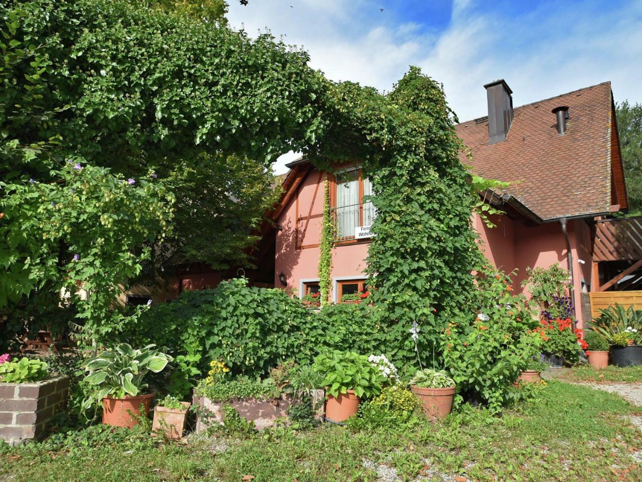 Countryside Apartment With Garden Schallstadt Buitenkant foto